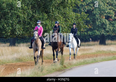 L'équitation à Richmond Park, Londres Angleterre Royaume-Uni UK Banque D'Images