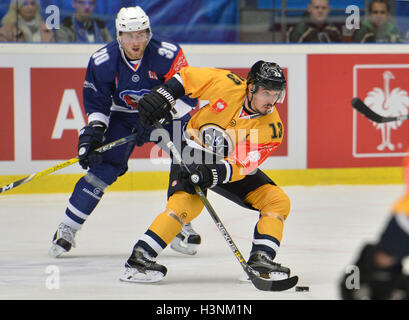 Pilsen, République tchèque. Oct 11, 2016. Jakub Lev de Plzen, à gauche, et Alessio Bertaggia de Lugano en action au cours de la Ligue des champions de hockey sur glace, 1er tour play off match HC Skoda Plzen vs HC Lugano à Plzen, République tchèque, le 11 octobre 2016. © Miroslav Chaloupka/CTK Photo/Alamy Live News Banque D'Images