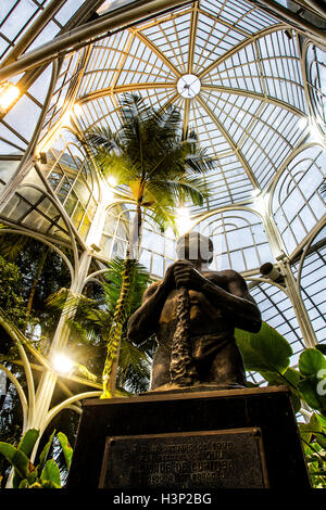 La sculpture à l'intérieur de la serre du Jardin botanique de Curitiba. Curitiba, Parana, Brésil. Banque D'Images