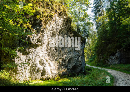 Beau paysage en Jura Souabe Banque D'Images