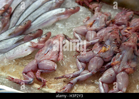 La peau et les crapauds éviscérés à vendre aux côtés de poissons à un étal au marché ou Tor Gor à Bangkok en Thaïlande. Banque D'Images