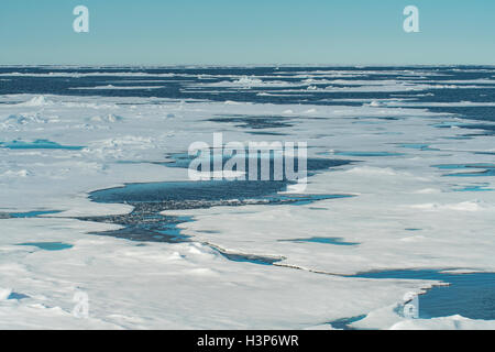 Pack de glace dans le Nord de l'Arctique près de Svalbard, Norvège Banque D'Images