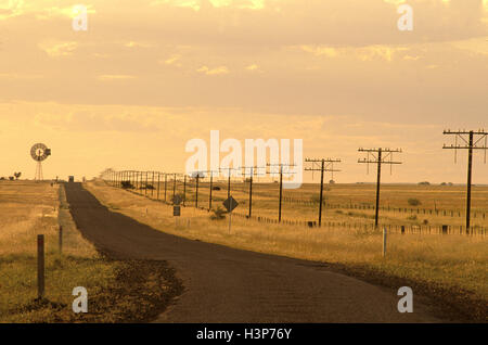 Route de l'Outback dans lumière du soir. Banque D'Images