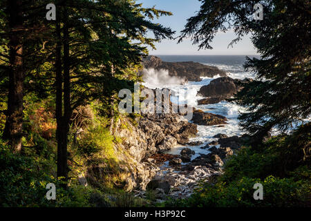 Falaises rocheuses - Sentier Wild Pacific, Ucluelet, île de Vancouver, Colombie-Britannique, Canada Banque D'Images