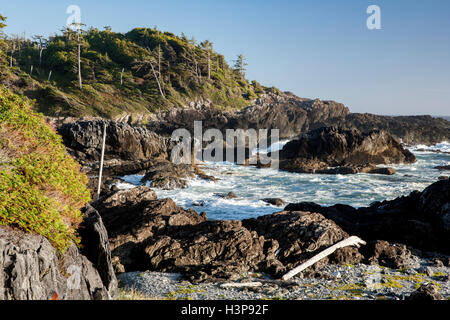 Falaises rocheuses - Sentier Wild Pacific, Ucluelet, île de Vancouver, Colombie-Britannique, Canada Banque D'Images