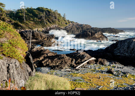 Falaises rocheuses - Sentier Wild Pacific, Ucluelet, île de Vancouver, Colombie-Britannique, Canada Banque D'Images