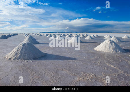 Cônes de sel, le Salar de Uyuni, Potosi, Bolivie Banque D'Images