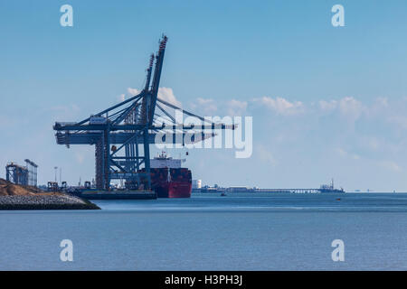 DP World Port en eau profonde de London Gateway vu de Thameside Nature Reserve Banque D'Images