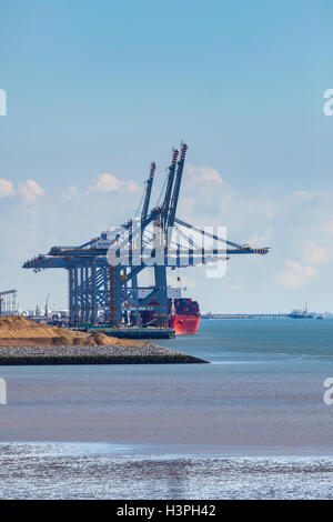 DP World Port en eau profonde de London Gateway vu de Thameside Nature Reserve Banque D'Images