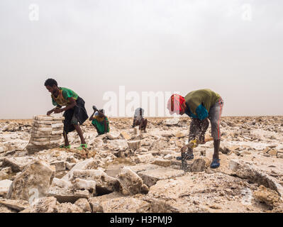 Les hommes de sel minier Afar Salt Flats en région Afar, dépression Danakil, l'Éthiopie. Banque D'Images