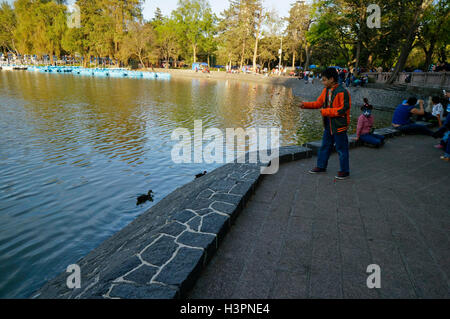 Lago de Chapultepec, Mexico, Mexique. Lac de Chapultepec dans le parc de Chapultepec, Mexico, Mexique Banque D'Images