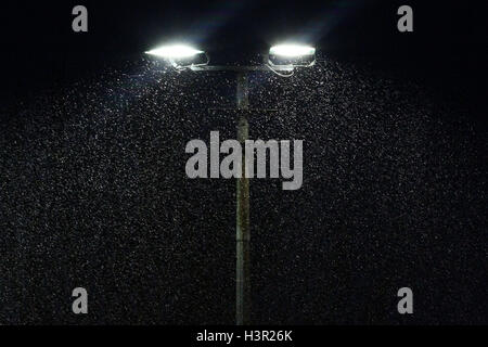 De fortes précipitations au cours de la deuxième moitié - East Thurrock United vs AFC Hornchurch - Ryman League Ligue de football à Rookery Hill - 25/01/14 Banque D'Images