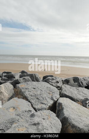 La marche des chiens sur Camber Sands Angleterre Kent UK Banque D'Images