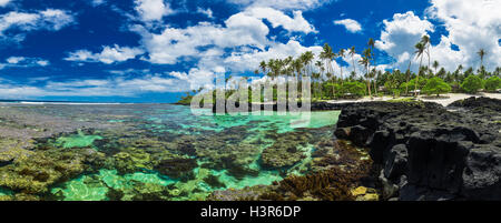 Barrière de corail idéal pour la plongée avec tuba sur le côté sud d'Upolu, îles Samoa. Banque D'Images