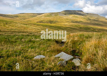 Le sanglier est tombé,, dans le Mallerstang Yorkshire Dales Banque D'Images