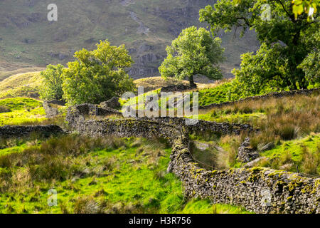 Une voie verte, Swindale, une vallée sur la bordure orientale du Parc National de Lake District près du village de Shap Banque D'Images