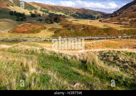 Les drumlins dans Swindale, une vallée sur la bordure orientale du Parc National de Lake District près du village de Shap Banque D'Images