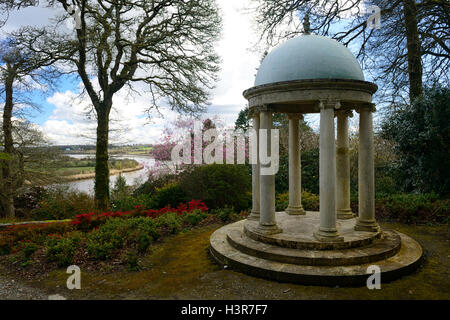 Mont du Temple Congreve Gardens dominant la rivière Suir ambrose congreve arbres magnolia Floral RM Banque D'Images