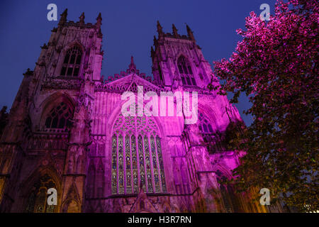 La cathédrale de York illuminée la nuit Banque D'Images