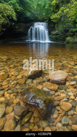 Chutes de West Burton, ou chaudron tombe comme elle est connue, à l'automne de l'arbre. Banque D'Images