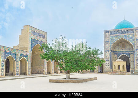 L'arbre dans la cour pittoresque de Kalyan mosquée avec le portail principal sur l'arrière-plan, Boukhara, Ouzbékistan. Banque D'Images