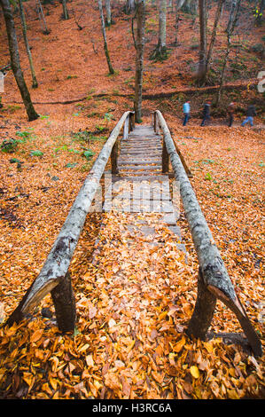 Une vue de sept lacs en automne saison à Bolu Turquie. Banque D'Images