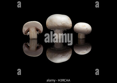 Trois champignons isolé sur fond réfléchissant noir Banque D'Images