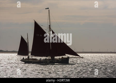 Smack à CK18 Pioneer virant à l'estuaire de la Colne au départ d'une course, silhouetté contre le soleil du matin. Banque D'Images