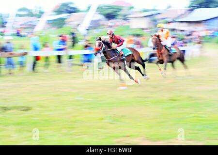 Courses hippiques Banque D'Images