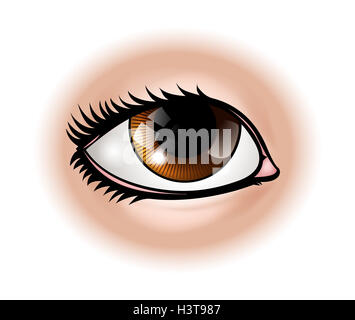 Une illustration d'une partie du corps de l'œil humain Banque D'Images