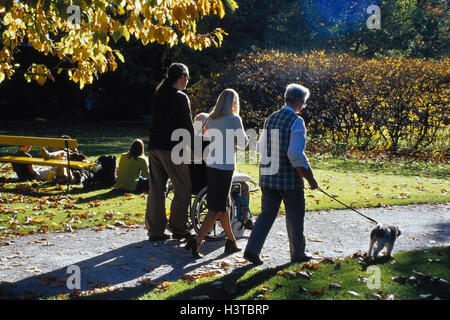 L'automne, parc, famille, à pied, l'homme, invalide, président de roue, vue de dos, à l'extérieur, autumnally l'automne, à pied, les parents, les enfants, les générations futures, deux, chien, entrave, entravée, les handicapés, les personnes handicapées, les jeunes, pré, mensonge, feuillage de l'automne, de l'invalide whee Banque D'Images