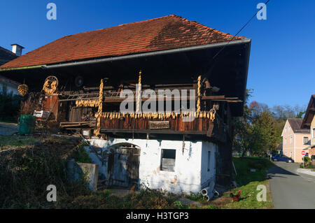 Stainz (Schilcherland) : grange traditionnelle, Südwest-Steiermark, Steiermark, Styrie, Autriche Banque D'Images