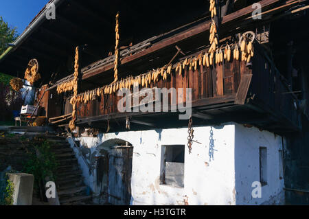 Stainz (Schilcherland) : grange traditionnelle, Südwest-Steiermark, Steiermark, Styrie, Autriche Banque D'Images