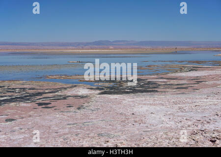 Vue sur le Salar de Atacama, le plus grand de sel au Chili Banque D'Images