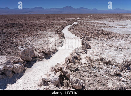 Vue sur le Salar de Atacama, le plus grand de sel au Chili Banque D'Images