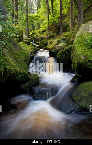 Wyming Brook en été Banque D'Images