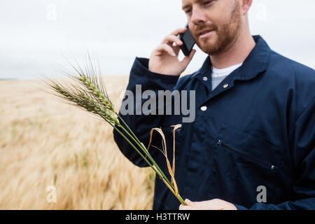 L'examen de cultures, tout agriculteur talking on mobile phone dans le domaine Banque D'Images