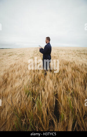 Farmer using digital tablet dans le domaine Banque D'Images