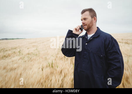 Farmer talking on mobile phone dans le domaine Banque D'Images