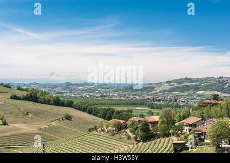 Paysage autour de Barbaresco, Alba, Italie Banque D'Images