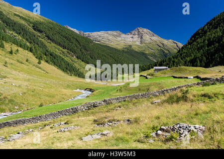 Dans l'alpage Defereggental, Autriche Banque D'Images