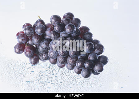 Bleu raisin, raisin rouge, humide, raisin rouge, infructescence, fruits, fruits, fruits, la nutrition, la santé, les chutes d'eau, photographie de produits, seulement Banque D'Images