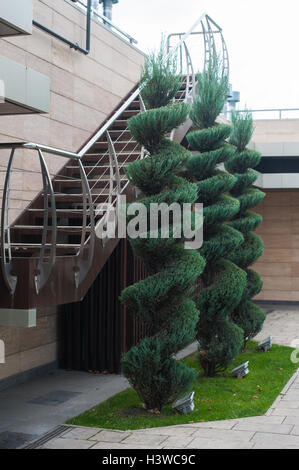 Beaux arbres décorés près du bâtiment, la conception de paysage Banque D'Images