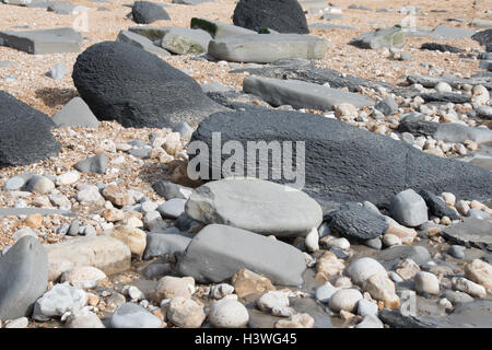 Rock assorties sur le littoral à Charmouth, Dorset, partie de la côte jurassique. Banque D'Images