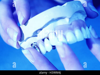 La technologie Cog, dentiers, jeu de mains, modèle de gypse, partie prothèse, laboratoire dentaire, dentiste, prothésiste, femme, Women's Hands, dentisterie, impression de gypse, modèle, morsure, cogs, COG, modèle de prothèse, mâchoire supérieure, cogs, incisives, substituer, pièce de substitution, lâchement, personnaliser, diminuer, plastique cogs, médecine, esthétique, fonction, fonction masticatoire, nature morte, photographie de produits, filtres spectraux blue Banque D'Images