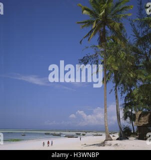 La Tanzanie, Zanzibar, Nungwi, palm beach, mer, port, des bottes, de l'océan Indien, bateau, plage, sable, Orient, Afrique, island Banque D'Images