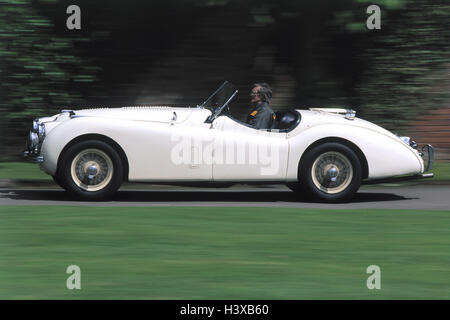 Old-timer, voiture de sport, Jaguar XK, bandage, fait inhabituel, à l'extérieur, blanc, aperçu, a aidé à tirer, motion blur, voiture, voiture de tourisme, cabriolet, country road, convertible, passe-temps, de l'automobilisme, passe-temps, loisirs Banque D'Images