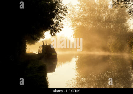 15-04 sur un canal d'oxford misty tôt le matin. L'Oxfordshire, Angleterre. Silhouette Banque D'Images