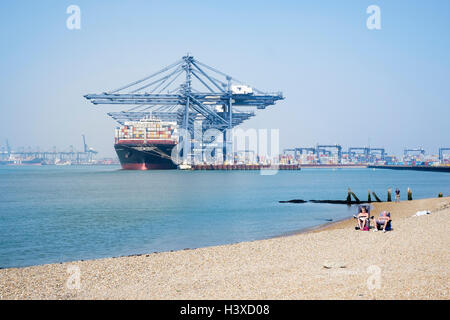 Le soleil vous détendre sur la plage. Venise MSC-conteneurs ancré dans le port de Felixstowe, Suffolk, UK en arrière-plan. Banque D'Images