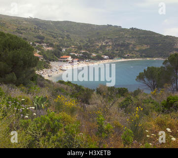 L'Italie, l'île d'Elbe, Cavoli, vue locale, la plage, l'Europe, la mer Méditerranée, l'île de Méditerranée, côte ouest, littoral, paysages côtiers, région côtière, baignoire bay, bay, plage, plage de sable, des baigneurs, des vacances d'été, vacances de plage, destination, maison de destin Banque D'Images